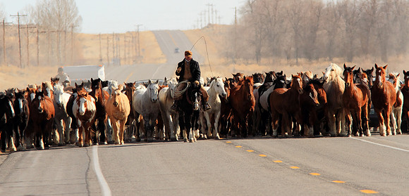 Wyoming Traffic Jam