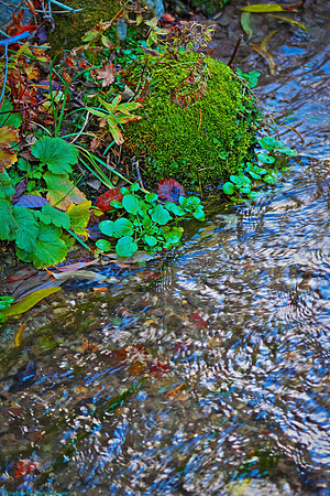 Woods Creek, Wind River Canyon, Wyoming